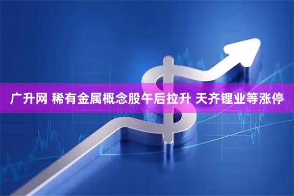 广升网 稀有金属概念股午后拉升 天齐锂业等涨停
