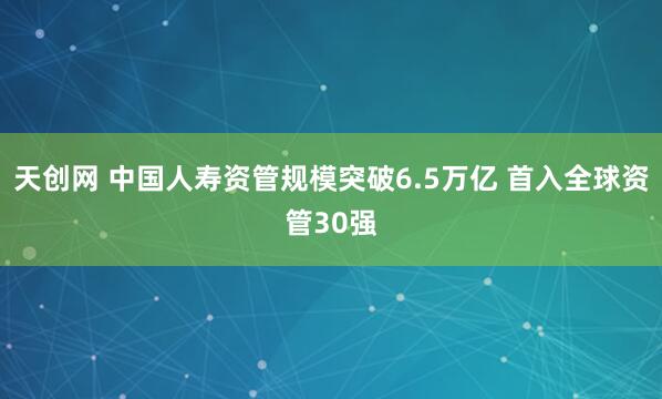 天创网 中国人寿资管规模突破6.5万亿 首入全球资管30强