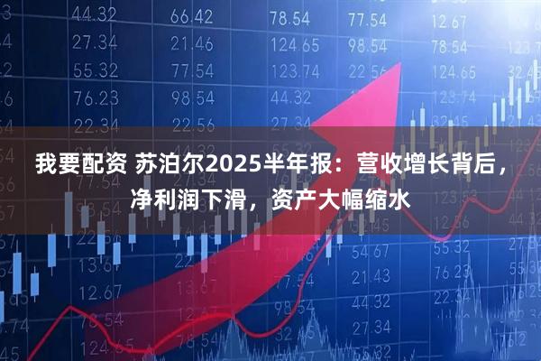 我要配资 苏泊尔2025半年报：营收增长背后，净利润下滑，资产大幅缩水