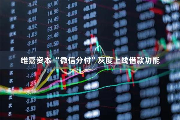 维嘉资本 “微信分付”灰度上线借款功能