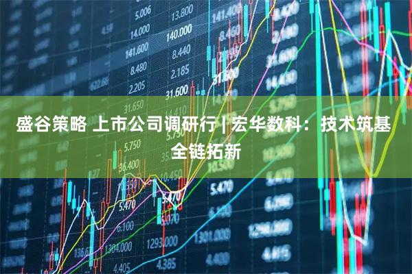 盛谷策略 上市公司调研行 | 宏华数科：技术筑基 全链拓新