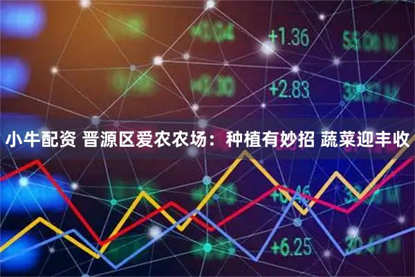 小牛配资 晋源区爱农农场：种植有妙招 蔬菜迎丰收